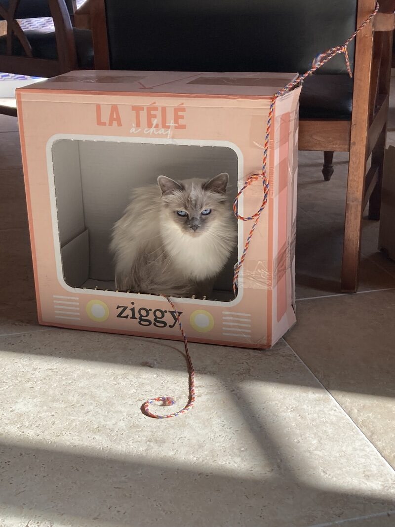 sacre utha 2